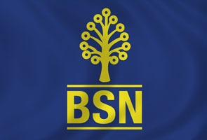 BSN transformation programme bears fruit