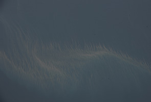 MH370: Experts 100 per cent sure oil slicks not from aircraft