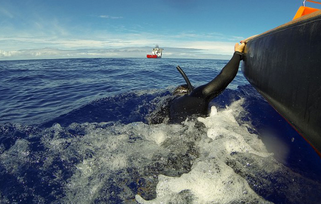 8 countries help with the search in the vast Indian Ocean.