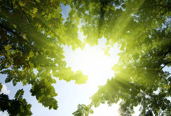 Staying spry: Study suggests seniors need more vitamin D