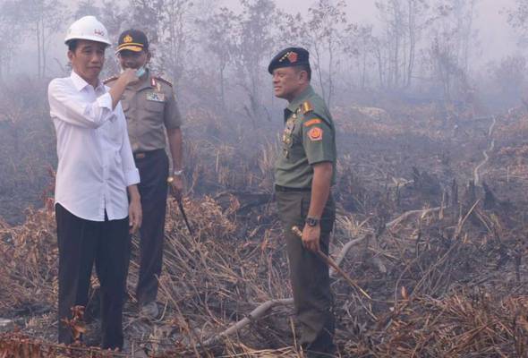 Jokowi pays surprise visit to haze's ground zero