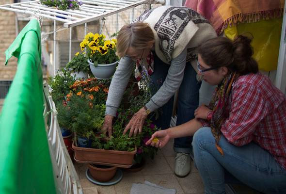 Once blooming, a flower-growing hobby fades