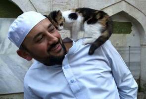 Musim sejuk dorong imam lindungi kucing jalanan di masjid