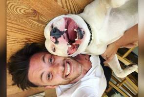 Gara-gara gambar viral, Diggy si anjing pitbull diancam bunuh