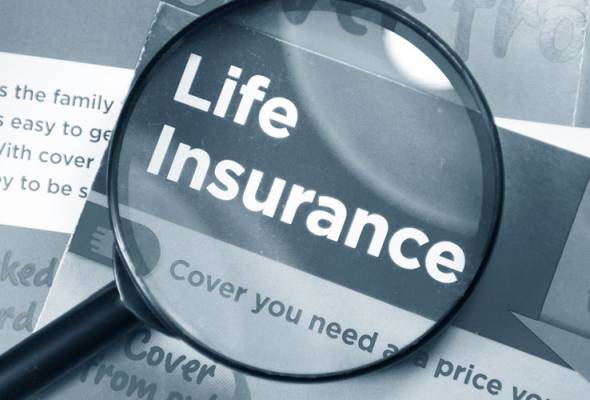 Life insurance sector has growth potential, says MII