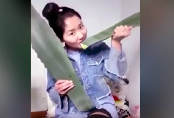 Dia kemudian menggigit daun itu dan berkata "yum" dan "hebat" sebelum menyedari ada sesuatu yang tidak kena. Padah tersilap makan daun beracun ketika penstriman langsung