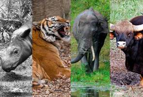 Http Www Astroawani Com Berita Malaysia Sabah Sedia Terima