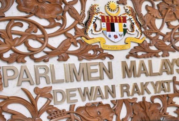 Govt, opposition MPs support COVID-19 Financing Bill