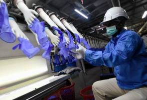 CBP AS dakwa produk sarung tangan tertentu Top Glove dihasilkan buruh paksa