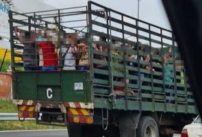 JKN Kedah sahkan arah pekerja kilang proses ayam dibawa ke PKD