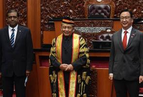 Dominic, Nelson take oath as senators Dominic, Nelson take oath as senators