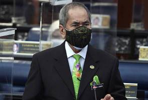 RUU Antilompat Parti: Amalan demokrasi kurang sihat, membimbangkan – Wan Junaidi
