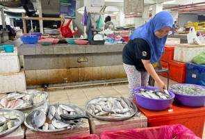 Kelemahan sistem pengurusan punca bekalan ikan berkurangan – LKIM