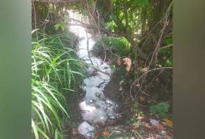 Air warna putih dikesan di Sungai Langat, premis kilang diarah henti pelepasan efluen Air warna putih dikesan di Sungai Langat, premis kilang diarah henti pelepasan efluen