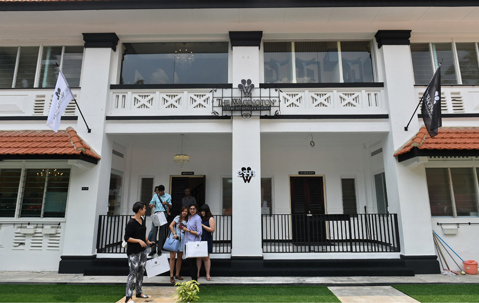 Bahagian luar hotel mewah untuk haiwan peliharaan Wagington, Singapura. Hotel ini yang dibuka pada 4 November 2014 memberi peluang kepada pemilik binatang peliharaan untuk memanjakan haiwan kesayangannya. Hotel ini yang diubahsuai daripada sebuah banglo pada zaman kolonial menawarkan pelbagai kemudahan termasuklah kolam renang berbentuk tulang dan taman dengan rumput buatan. AFP / ROSLAN RAHMAN Bahagian luar hotel mewah untuk haiwan peliharaan Wagington, Singapura. Hotel ini yang dibuka pada 4 November 2014 memberi peluang kepada pemilik binatang peliharaan untuk memanjakan haiwan kesayangannya. Hotel ini yang diubahsuai daripada sebuah banglo pada zaman kolonial menawarkan pelbagai kemudahan termasuklah kolam renang berbentuk tulang dan taman dengan rumput buatan. AFP / ROSLAN RAHMAN