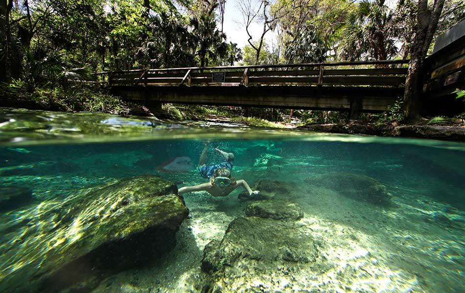 Asa Mslar berenang di Rock Springs Run, Kelly Park, Apopka, Florida. Rock Springs adalah mata air semula jadi yang mengalir bebas dengan aliran purata 26,000 gelen air tawar seminit. - AP Photo/John Raoux Asa Mslar berenang di Rock Springs Run, Kelly Park, Apopka, Florida. Rock Springs adalah mata air semula jadi yang mengalir bebas dengan aliran purata 26,000 gelen air tawar seminit. - AP Photo/John Raoux