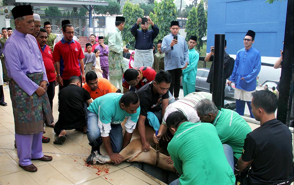 Timbalan Ketua Polis Negara Datuk Seri Noor Rashid Ibrahim (kiri) menyaksikan proses penyembelihan ketika hadir di majlis korban dan solat sunat Aidiladha di Masjid Bukit Aman pada 24 September, 2015.- fotoBERNAMA (DIGI) Timbalan Ketua Polis Negara Datuk Seri Noor Rashid Ibrahim (kiri) menyaksikan proses penyembelihan ketika hadir di majlis korban dan solat sunat Aidiladha di Masjid Bukit Aman pada 24 September, 2015.- fotoBERNAMA (DIGI)
