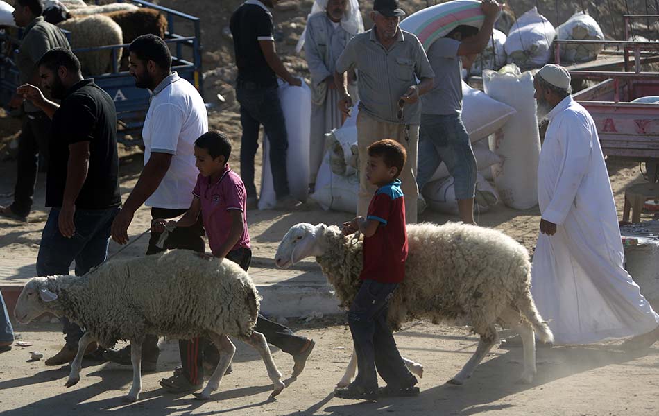 Warga Palestin berkumpul di sebuah pasar haiwan ternakan di Deir al-Balah, Semenanjung Gaza, menjelang Hari Raya Aidiladha pada 22 September 2015. - Foto AFP/Mahmud Hams Warga Palestin berkumpul di sebuah pasar haiwan ternakan di Deir al-Balah, Semenanjung Gaza, menjelang Hari Raya Aidiladha pada 22 September 2015. - Foto AFP/Mahmud Hams