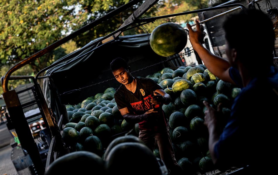 Seorang penjual Malaysia memunggah stok tembikai di pasar borong yang sibuk di Kuala Lumpur pada 7 Januari, 2016. AFP PHOTO / MANAN VATSYAYANA Seorang penjual Malaysia memunggah stok tembikai di pasar borong yang sibuk di Kuala Lumpur pada 7 Januari, 2016. AFP PHOTO / MANAN VATSYAYANA