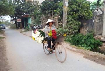 Petani-petani bunga dari Nam Dinh