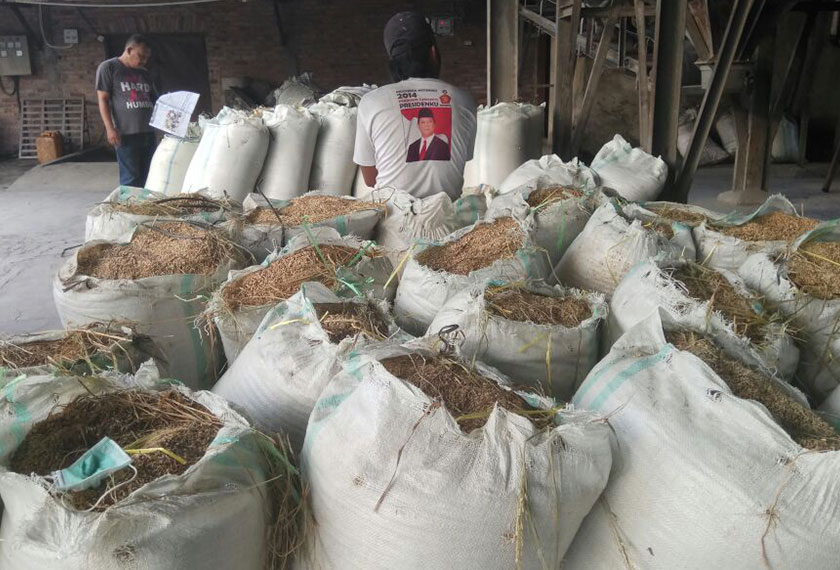 The paddy is all around the mill, waiting to be processed. - Karim Raslan Photo