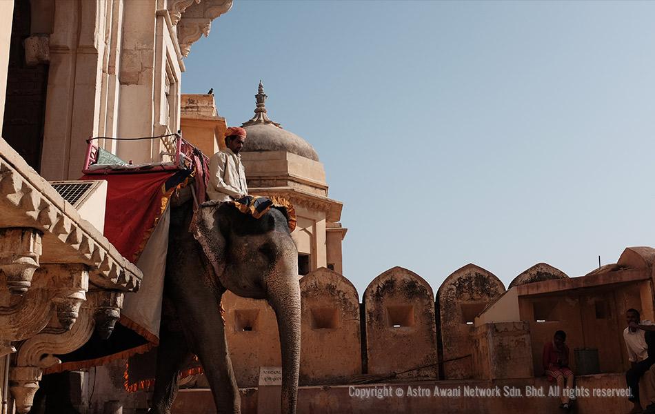 Gajah dan penunggangnya meninggalkan dataran Jaleb Chowk menerusi pintu Suraj Pol di Amber Fort. Pengunjung boleh memasuki kubu ini dengan menaiki gajah, kenderaan pacuan empat roda atau berjalan kaki. - Foto Astro AWANI/Israr Khalid Gajah dan penunggangnya meninggalkan dataran Jaleb Chowk menerusi pintu Suraj Pol di Amber Fort. Pengunjung boleh memasuki kubu ini dengan menaiki gajah, kenderaan pacuan empat roda atau berjalan kaki. - Foto Astro AWANI/Israr Khalid