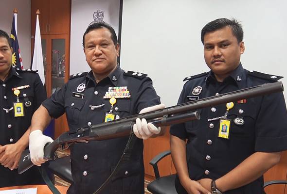 73 Gambar Babi Tertembak Terbaik 73 Gambar Babi Tertembak Terbaik
