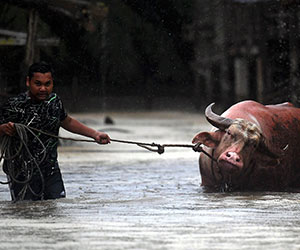 Banjir di Pahang Banjir di Pahang