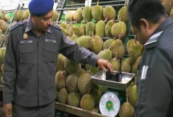 Guna alat penimbang durian tidak sah, lima peniaga disiasat Guna alat penimbang durian tidak sah, lima peniaga disiasat