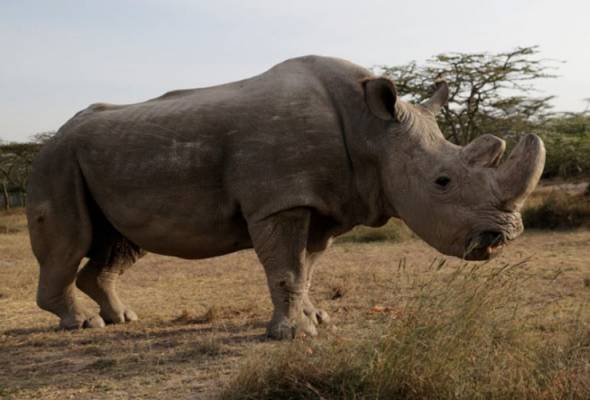 Kematian Sudan lambang kezaliman manusia | Astro Awani