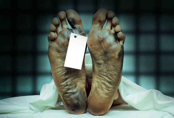 Dua anggota tentera maut dihempap pokok ketika tidur Dua anggota tentera maut dihempap pokok ketika tidur