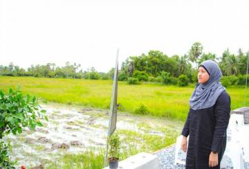 Ampannee Satoh merakam perjuangan melalui lensa