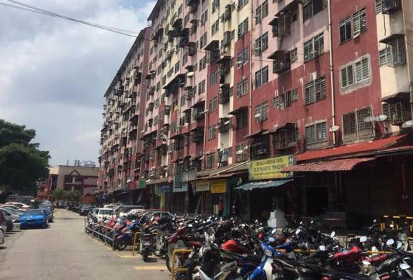 Apa anak muda Seri Setia mahu? Apa anak muda Seri Setia mahu?
