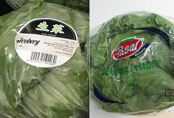 Singapura larang import sejenis salad dari Malaysia kerana dicemari racun serangga - Laporan Singapura larang import sejenis salad dari Malaysia kerana dicemari racun serangga - Laporan