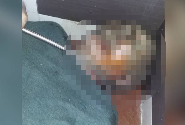 Mayat warga emas Kanada ditemui dalam keadaan berulat 