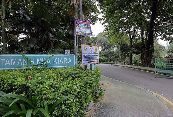 Wakil rakyat Segambut sambut baik isu Taman Rimba Kiara dibawa ke Kabinet Wakil rakyat Segambut sambut baik isu Taman Rimba Kiara dibawa ke Kabinet