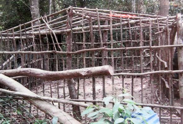 RCI Wang Kelian: 2 warga Thailand, 3 warga Myanmar ditahan ketika penggeledahan VAT 69 RCI Wang Kelian: 2 warga Thailand, 3 warga Myanmar ditahan ketika penggeledahan VAT 69