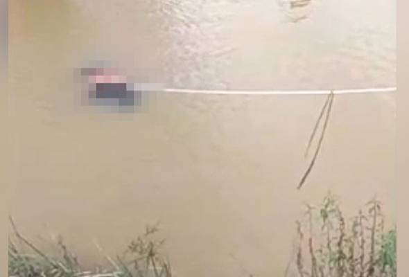 Mayat lelaki ditemui terapung di Sungai Muda Mayat lelaki ditemui terapung di Sungai Muda