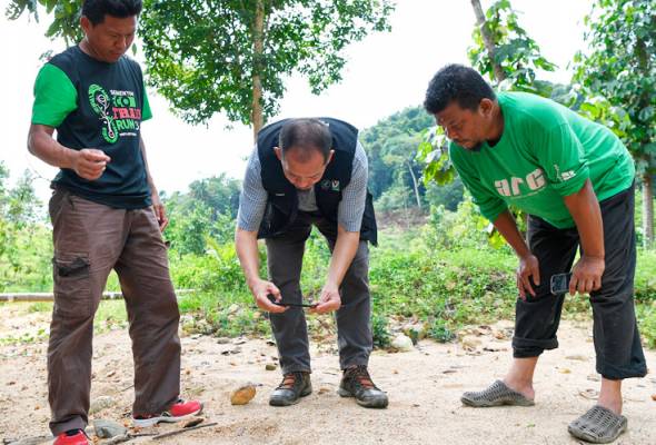 Jauhi lokasi penemuan harimau - Polis Jauhi lokasi penemuan harimau - Polis