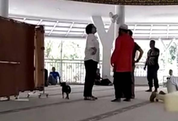 Kecoh! Wanita pakai kasut, bawa anjing dalam masjid di Bogor Kecoh! Wanita pakai kasut, bawa anjing dalam masjid di Bogor