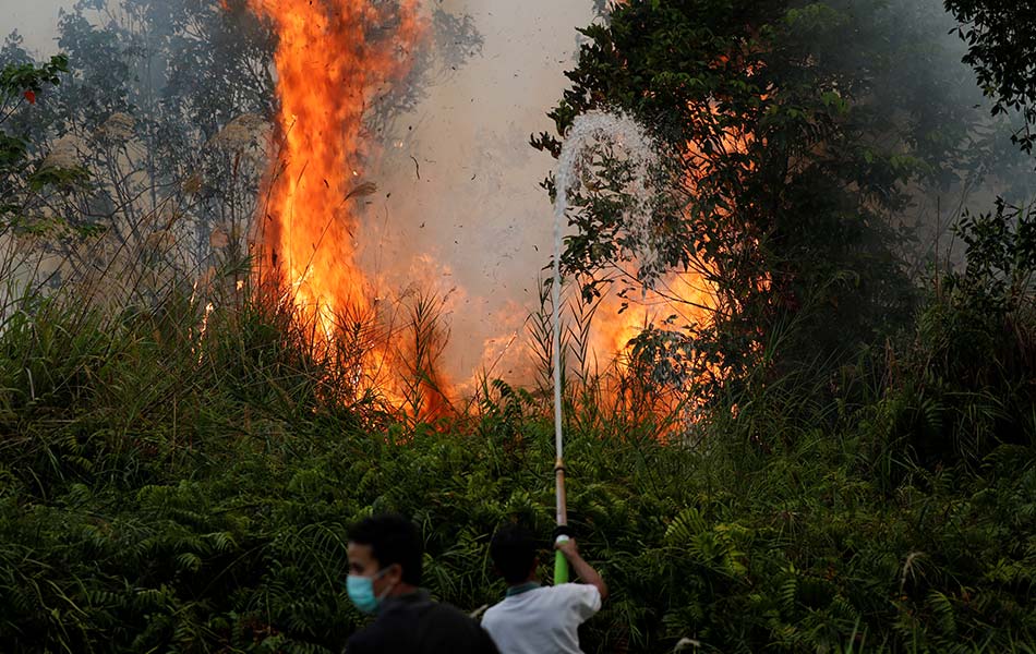 Usaha memadamkan kebakaran di tanah gambut tidak semudah yang dijangka, lebih-lebih lagi jika melibatkan kawasan yang luas, seperti di daerah Pulang Pisau, palangkaraya, Kalimantan ini. - Reuters Usaha memadamkan kebakaran di tanah gambut tidak semudah yang dijangka, lebih-lebih lagi jika melibatkan kawasan yang luas, seperti di daerah Pulang Pisau, palangkaraya, Kalimantan ini. - Reuters