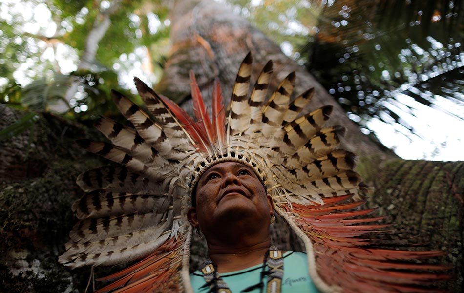 Ketua puak pribumi Shenanewa, Tekaheyne, berdiri di bawah pokok Sumauma semasa ritual hendak dimulakan di kampung Morada NOva, Feijo, Acre, Brazil, pada 1 September 2019. - Reuters Ketua puak pribumi Shenanewa, Tekaheyne, berdiri di bawah pokok Sumauma semasa ritual hendak dimulakan di kampung Morada NOva, Feijo, Acre, Brazil, pada 1 September 2019. - Reuters