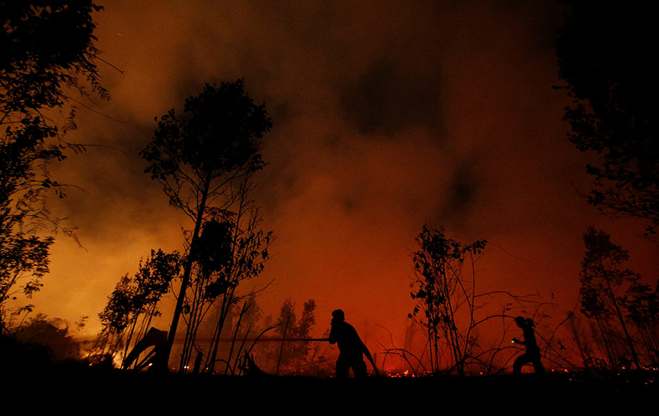 Dalam pada masyarakat serantau terus mengeluh, anggota bomba di Taman Negara Sebangau, Kalimantan Tengah ini tanpa rehat terus gigih memadamkan api dengan sumber yang terbatas. - Reuters Dalam pada masyarakat serantau terus mengeluh, anggota bomba di Taman Negara Sebangau, Kalimantan Tengah ini tanpa rehat terus gigih memadamkan api dengan sumber yang terbatas. - Reuters