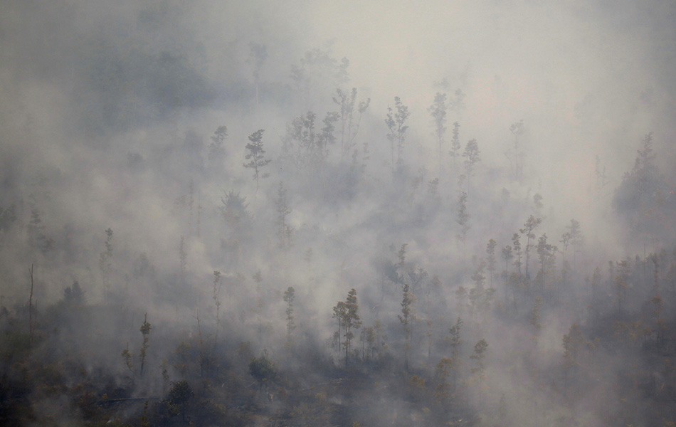 Asap kebakaran berkepul di atas rimbunan pokok di hutan yang terbakar di Pulang Pisau, Palangkaraya, Kalimantan Tengah, Indonesia. - Reuters Asap kebakaran berkepul di atas rimbunan pokok di hutan yang terbakar di Pulang Pisau, Palangkaraya, Kalimantan Tengah, Indonesia. - Reuters