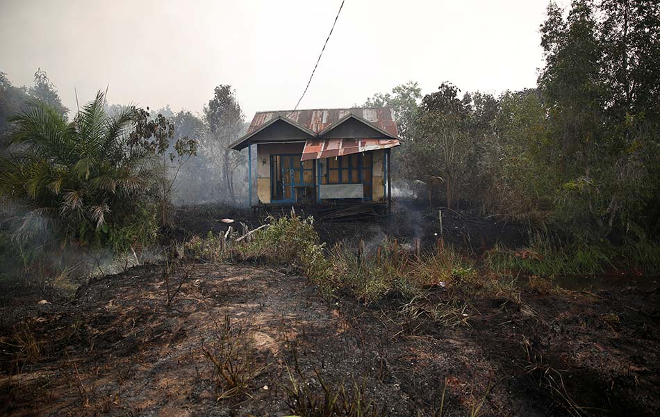 Masih bertahan, meskipun belum tentu selamat didiami. Sebuah rumah kampung yang dikelilingi zon kebakaran di daerah Pulang Pisau, Palangkaraya, Kalimantan Tengah. - Reuters Masih bertahan, meskipun belum tentu selamat didiami. Sebuah rumah kampung yang dikelilingi zon kebakaran di daerah Pulang Pisau, Palangkaraya, Kalimantan Tengah. - Reuters