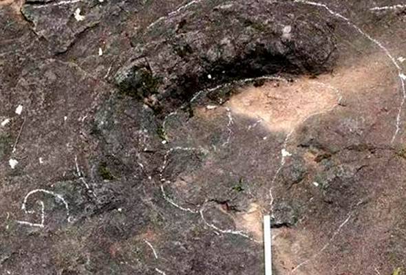 Tapak kaki dinosaur 100 juta tahun dijumpai di timur China Tapak kaki dinosaur 100 juta tahun dijumpai di timur China
