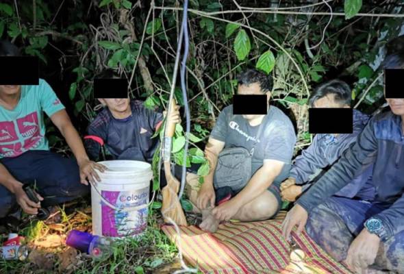 5 disyaki pemburu haram ditahan di Kinabatangan 5 disyaki pemburu haram ditahan di Kinabatangan