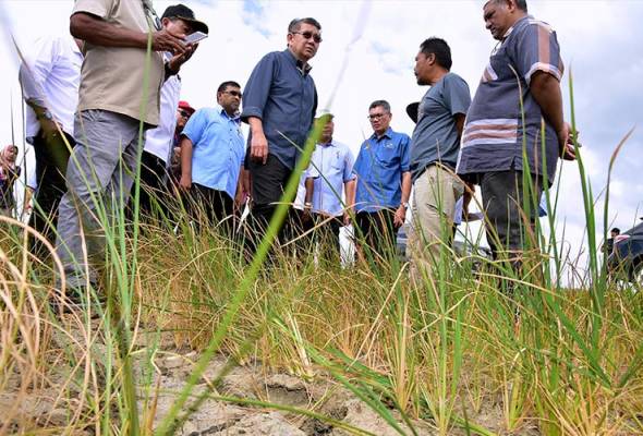 Sawah kering: MOA akan segera bantu - Salahuddin Sawah kering: MOA akan segera bantu - Salahuddin