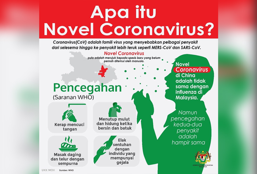 Novela Coronavirus