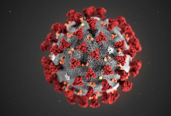 Image result for coronavirus astro awani